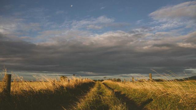 Programadores de web em Uarini