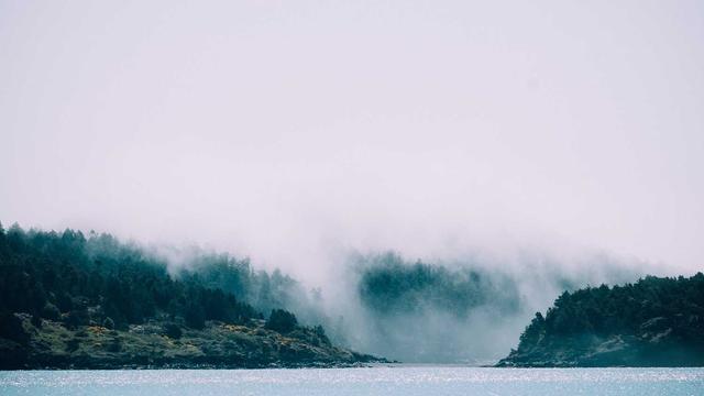 Projeto de site em Sem-Peixe