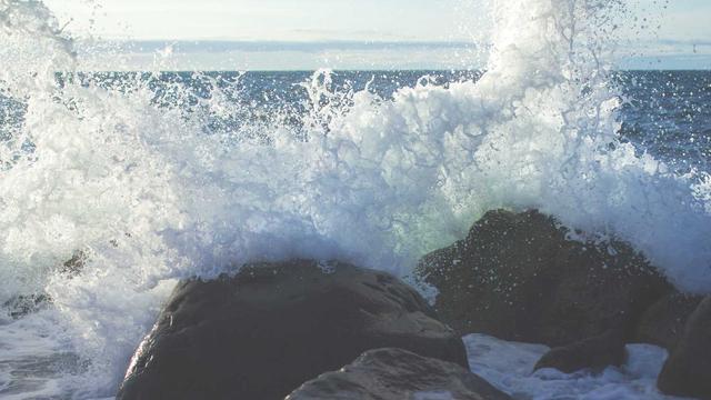 Representante de Sites em Nova Tebas