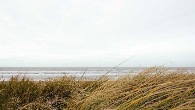 Representante de Sites em S�o Caetano de Odivelas