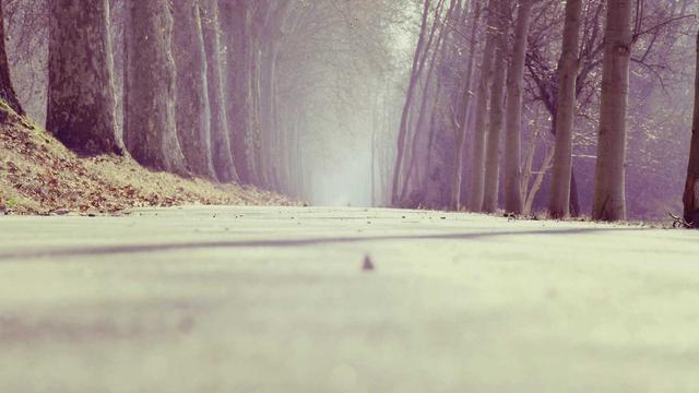 Scripts php prontos em Altamira do Paran�