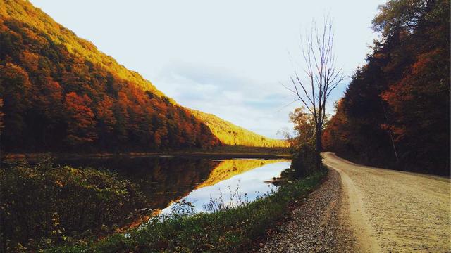 Scripts php prontos em Jo�o C�mara