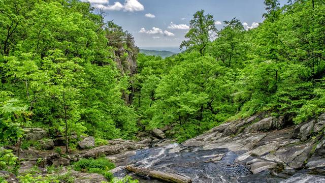 Scripts php prontos em Paragua�u Paulista