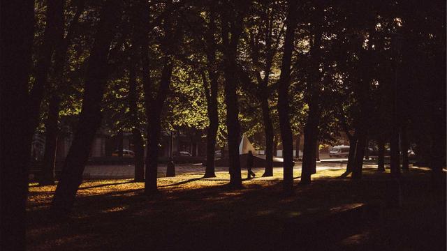 Scripts php prontos em Para�