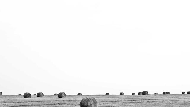 Sistemas sites em Faro