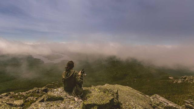 Site de anuncios em Jo�o Monlevade