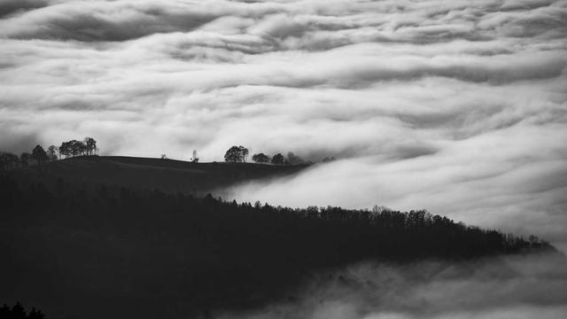 Site de Comprar em Col�nia Leopoldina