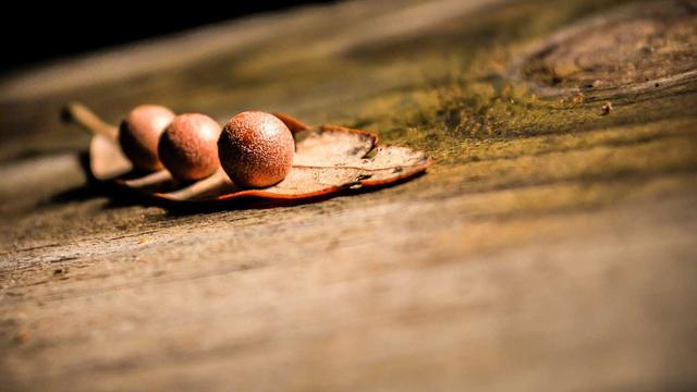 Site de Comprar em Mendes