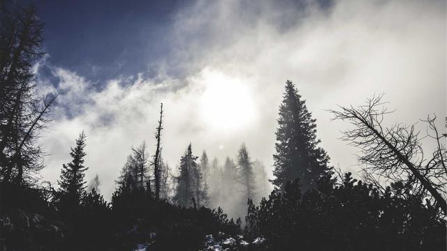 Site de Comprar em Rin�polis