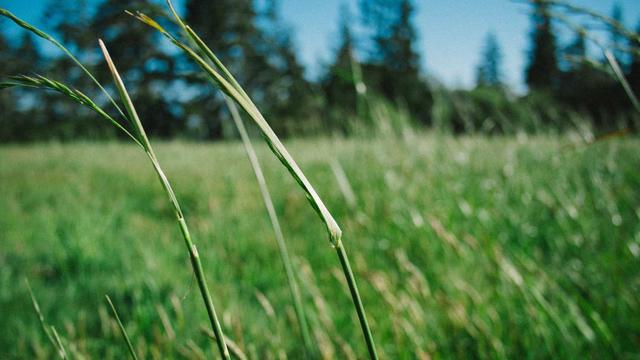 Site de desenvolvedor em Ibaretama