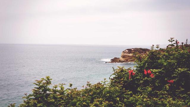 Site de programador web em Guaira��
