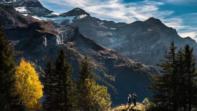 Site de Programador Web em Venturosa