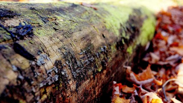 Site ecomerce em Vicentin�polis