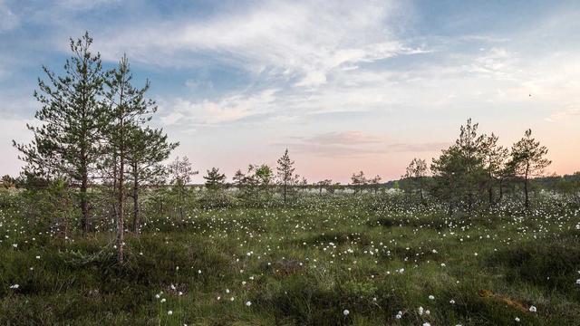 Site empresa textil em �guas Vermelhas