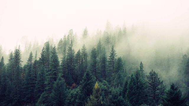 Site para Comprar em Corguinho