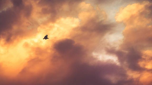 Site para comprar em Pureza