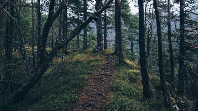 Site tipo em Goian�sia do Par�