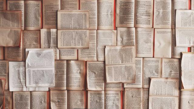 Sites e sistemas em Ribeir�o do Pinhal