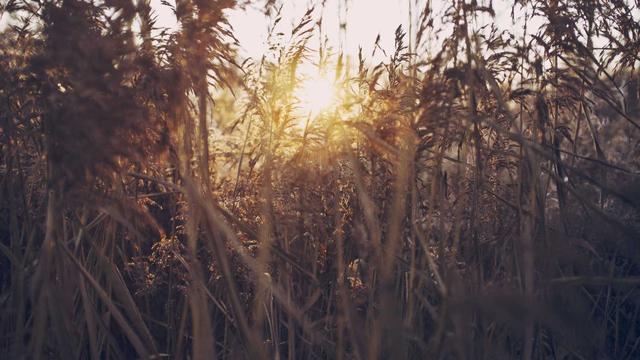 Sites loja virtual em Eugen�polis