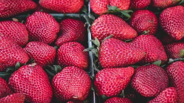 Sites loja virtual em Simpl�cio Mendes