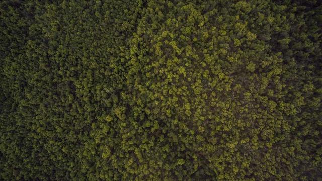 Sites prontos para web em Tapira�