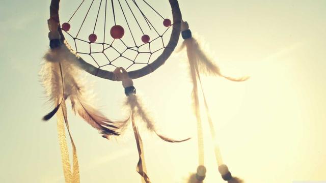 Software loja virtual em Ver�ssimo