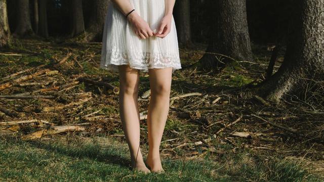 Software loja virtual em Videira