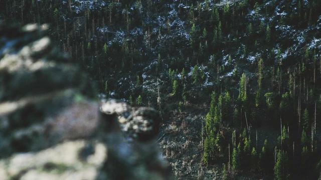 Software para cria��o de sites em Bertioga