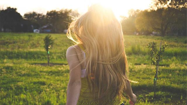 Software para cria��o de sites em Maraj� do Sena