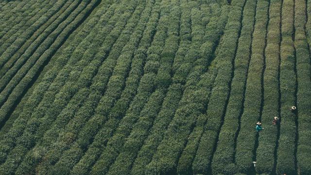 Software para cria��o de sites em Sever�nia