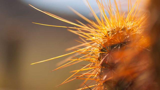 Solu��es em Web em Pira� Do Sul
