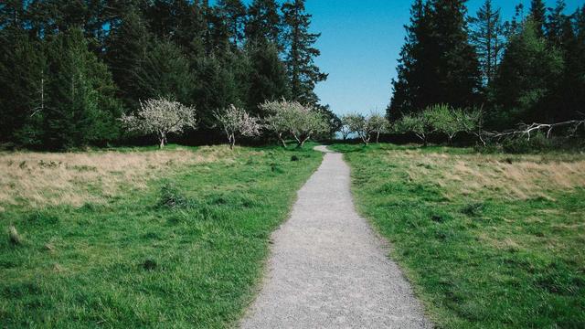Web designer campinas em Mogi Gua�u
