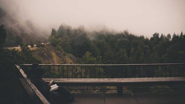 Web designer ipatinga em Limoeiro de Anadia