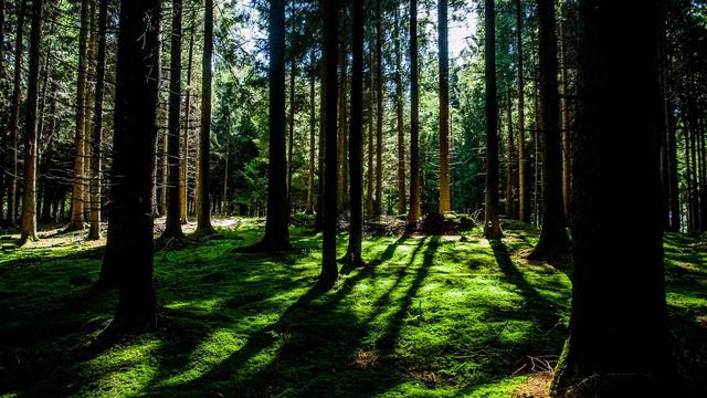 Web designer ipatinga em Nipo�