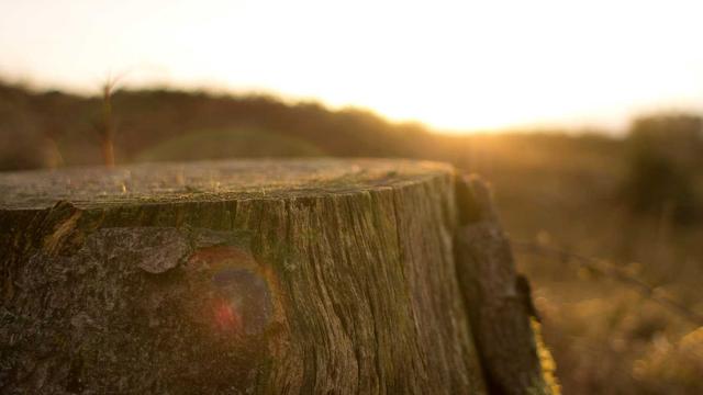 Web designer ipatinga em Peixe-Boi