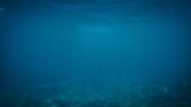 Web for bussiness em Codaj�s