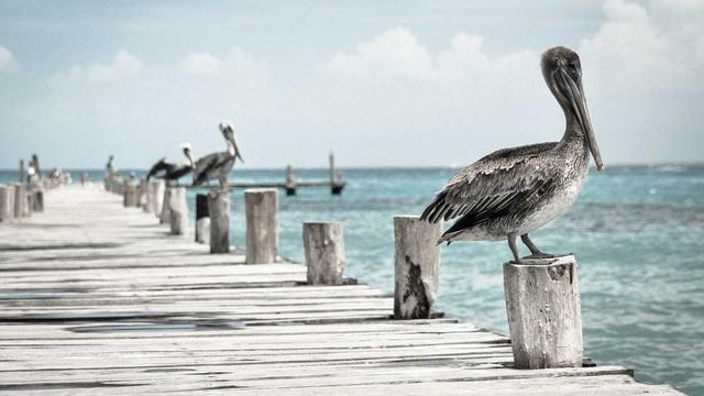 Web for bussiness em Queiroz