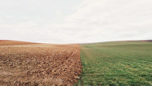 Web for bussiness em Santana do Piau�
