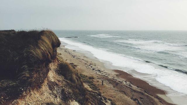 Web4 bisiness em Sim�es