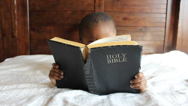 Web4 Comunica��o em Vera Mendes
