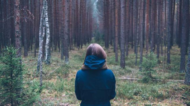Web4 for em Gra�a Aranha