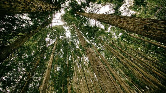 Web4 for em Itajub�