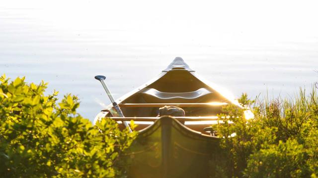 Web4 for em Maca�ba