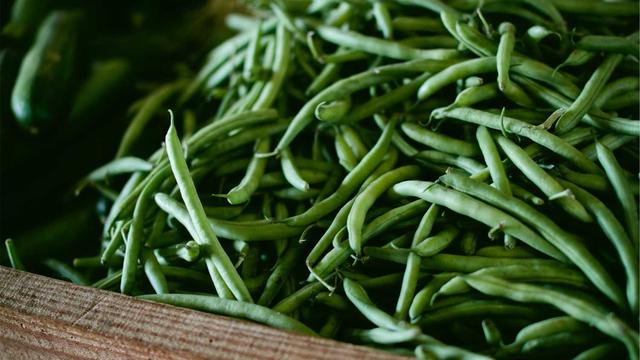 Web4 for em Milh�