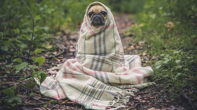 Web4 for em Rio Brilhante