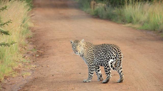 Web4 internet em Paulistana