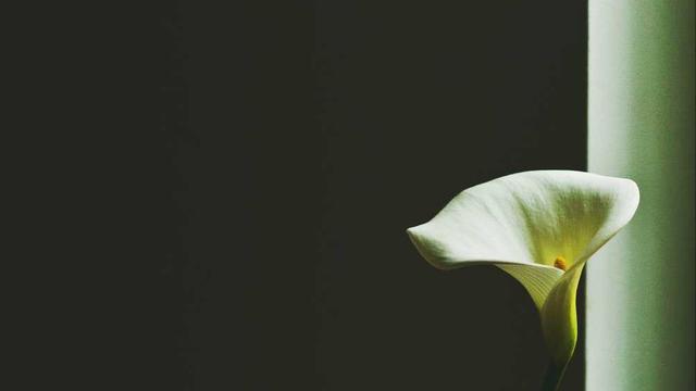 Web4 sites em Rio das Pedras
