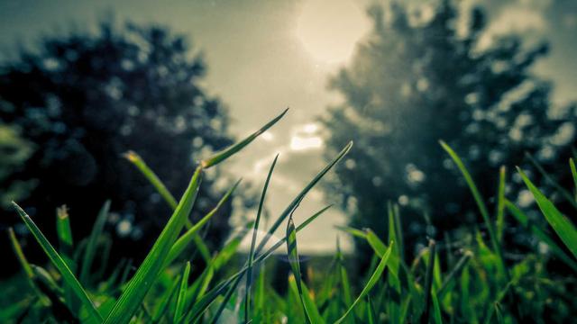 Web4 sites em S�o Jos� de Piranhas