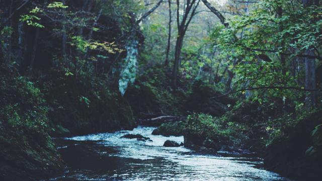 Web4 sites em Tururu