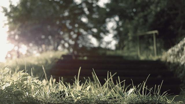 Web4business em Cari�s